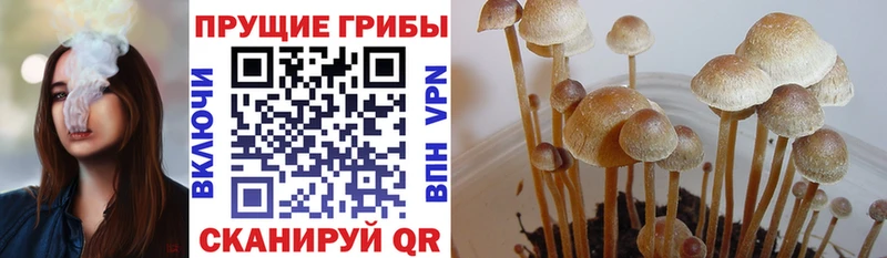Галлюциногенные грибы GOLDEN TEACHER  Макарьев 